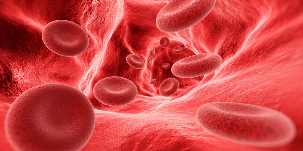 Anemija – simptomi, uzroci i dijagnostika 1 Anemija – simptomi, uzroci i dijagnostika 1