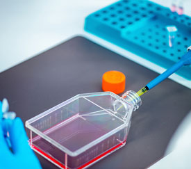 Beo-lab laboratorije 9