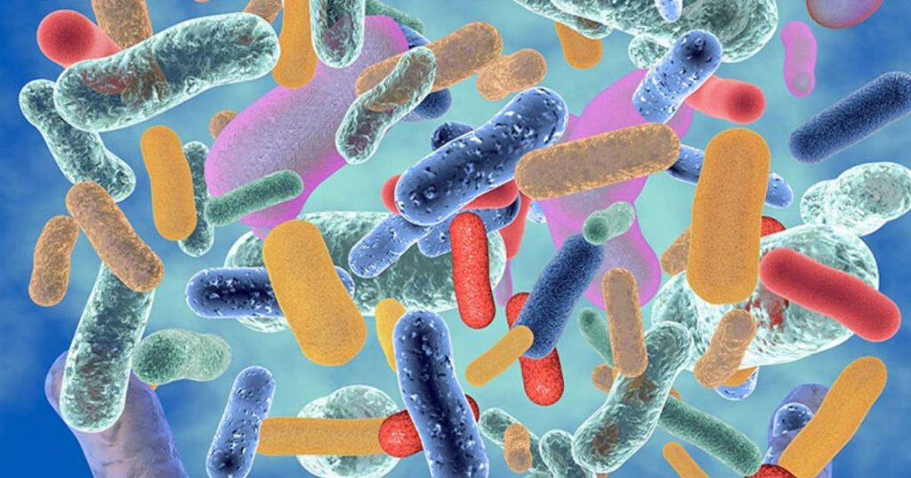 Značaj Funkcionalne medicine kod hroničnih bolesti 6 mikrobiota crevne flore