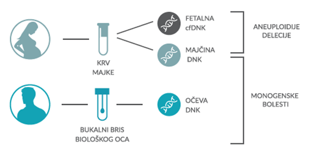 VERAgene – jedan test za aneuploidije, mikrodelecije i čak 100 monogenskih bolesti 6