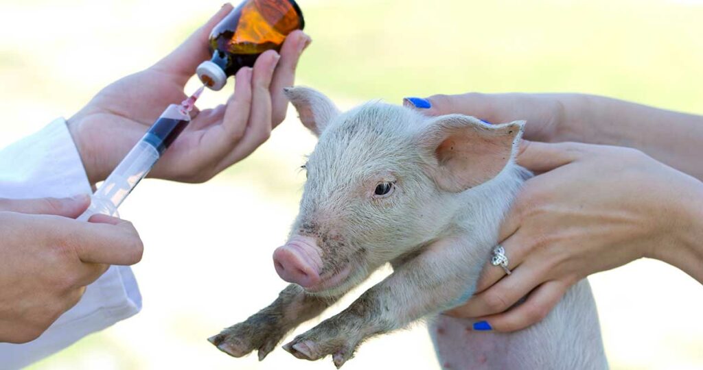 Bakterijska rezistencija - otpornost bakterija na dejstvo antibiotika 3 Bakterijska rezistencija - otpornost bakterija na dejstvo antibiotika 3