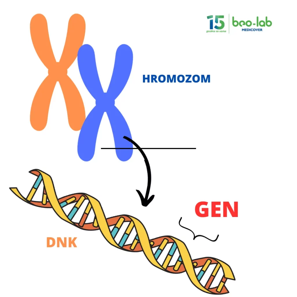 Spinalna mišićna atrofija-simptomi, uzrok nastanka, postavljanje dijagnoze i lečenje 1 Spinalna mišićna atrofija-simptomi, uzrok nastanka, postavljanje dijagnoze i lečenje 1