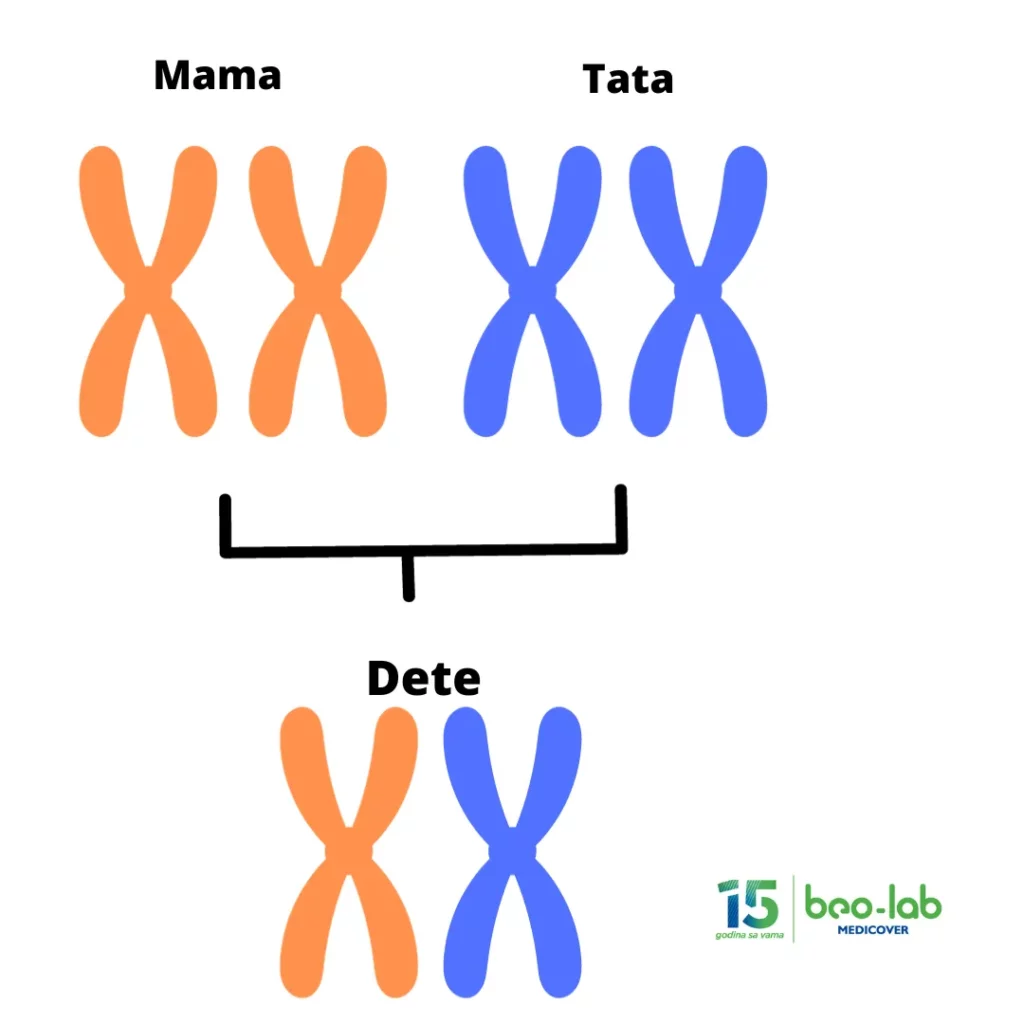 Spinalna mišićna atrofija-simptomi, uzrok nastanka, postavljanje dijagnoze i lečenje 2 Spinalna mišićna atrofija-simptomi, uzrok nastanka, postavljanje dijagnoze i lečenje 2