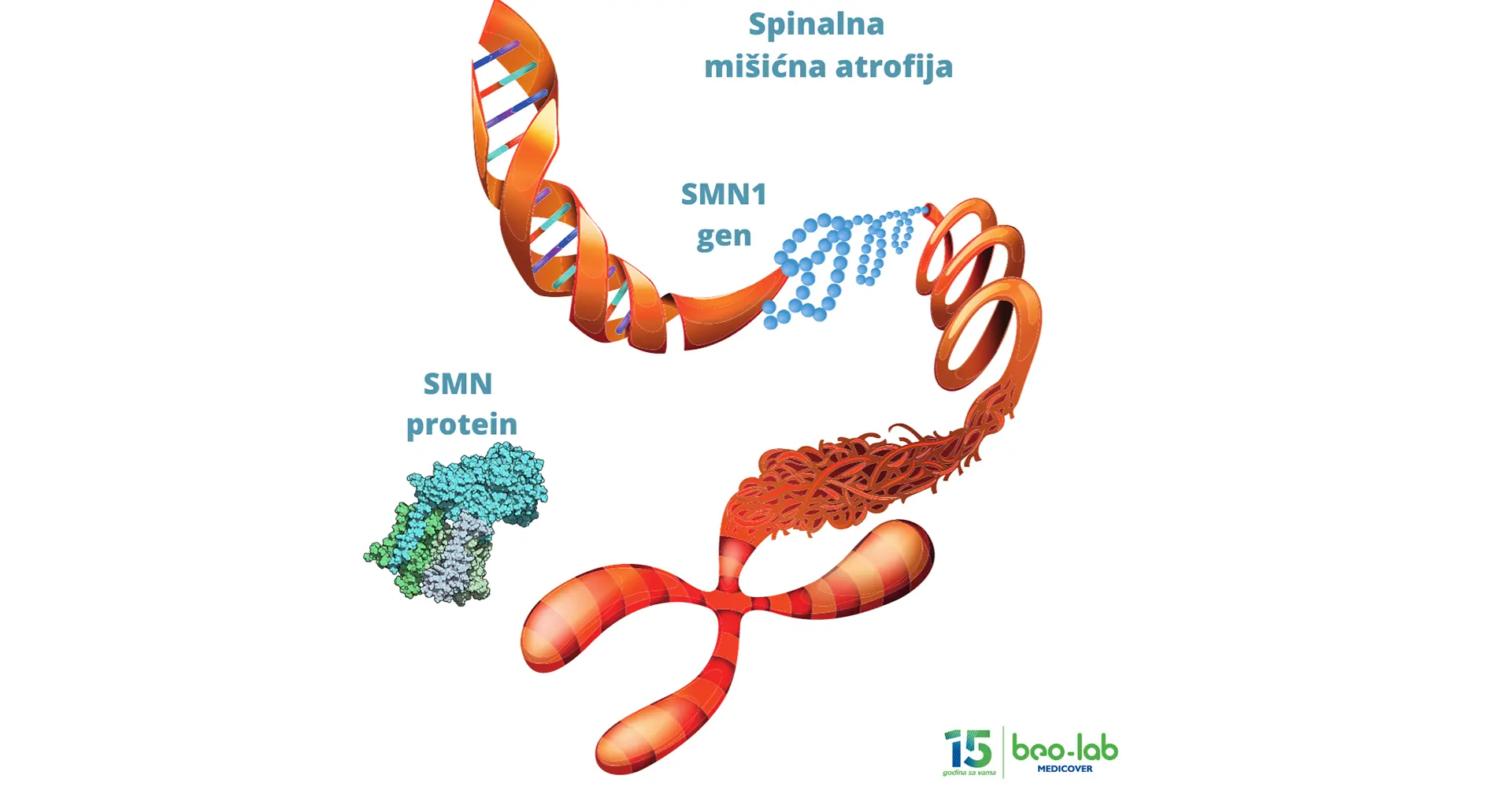 Spinalna Misicna Atrofija