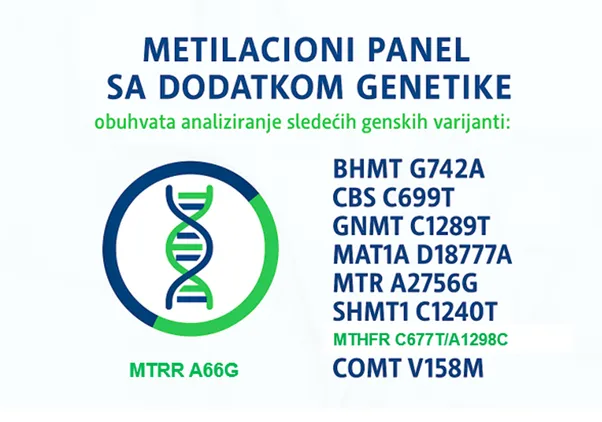 Metilacija panel sa dodatkom genetike 1