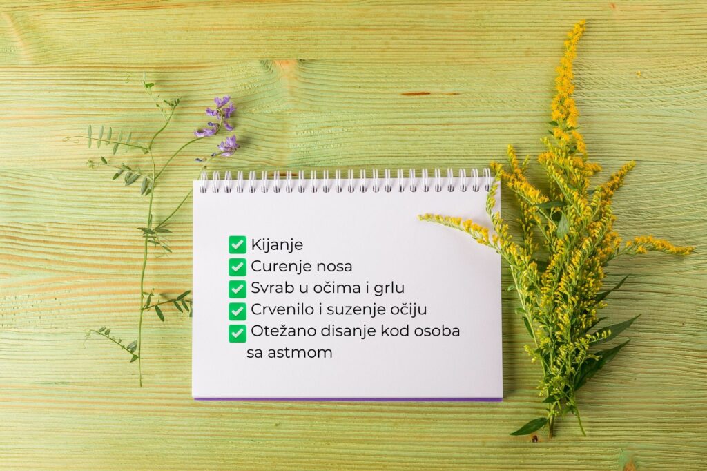 Alergija na ambroziju 20